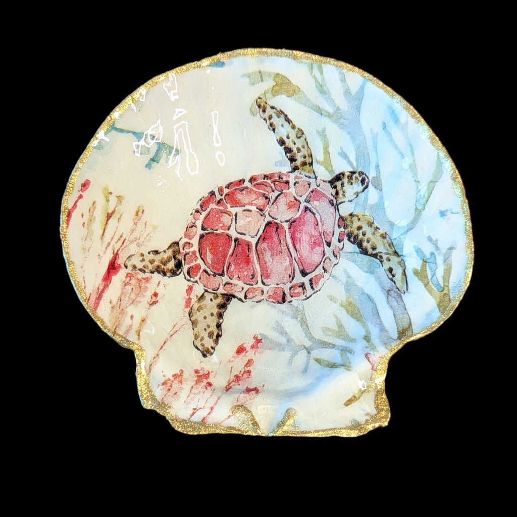 Jakobsmuschel Turtle - Andrea Rubinetto Schmuckwerkstatt