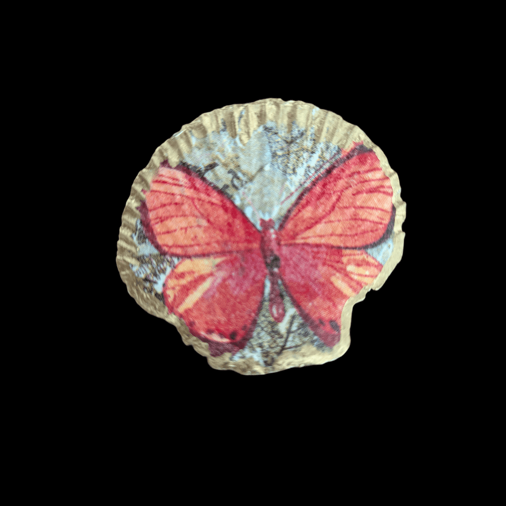 Kammmuschel Butterfly - 4er Set - Andrea Rubinetto Schmuckwerkstatt