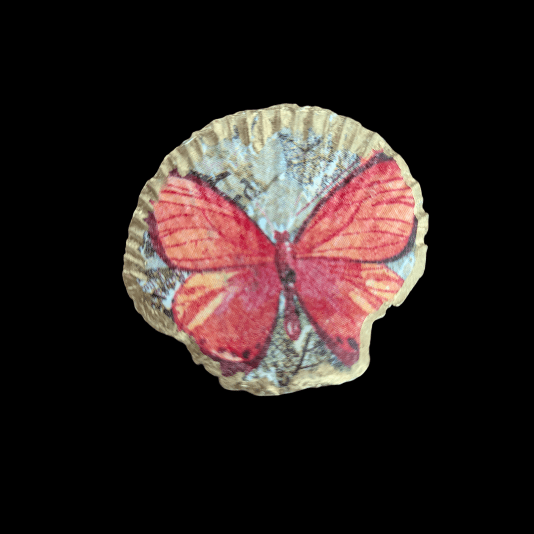 Kammmuschel Butterfly - 4er Set - Andrea Rubinetto Schmuckwerkstatt