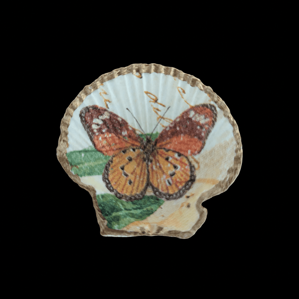 Kammmuschel Butterfly - 4er Set - Andrea Rubinetto Schmuckwerkstatt