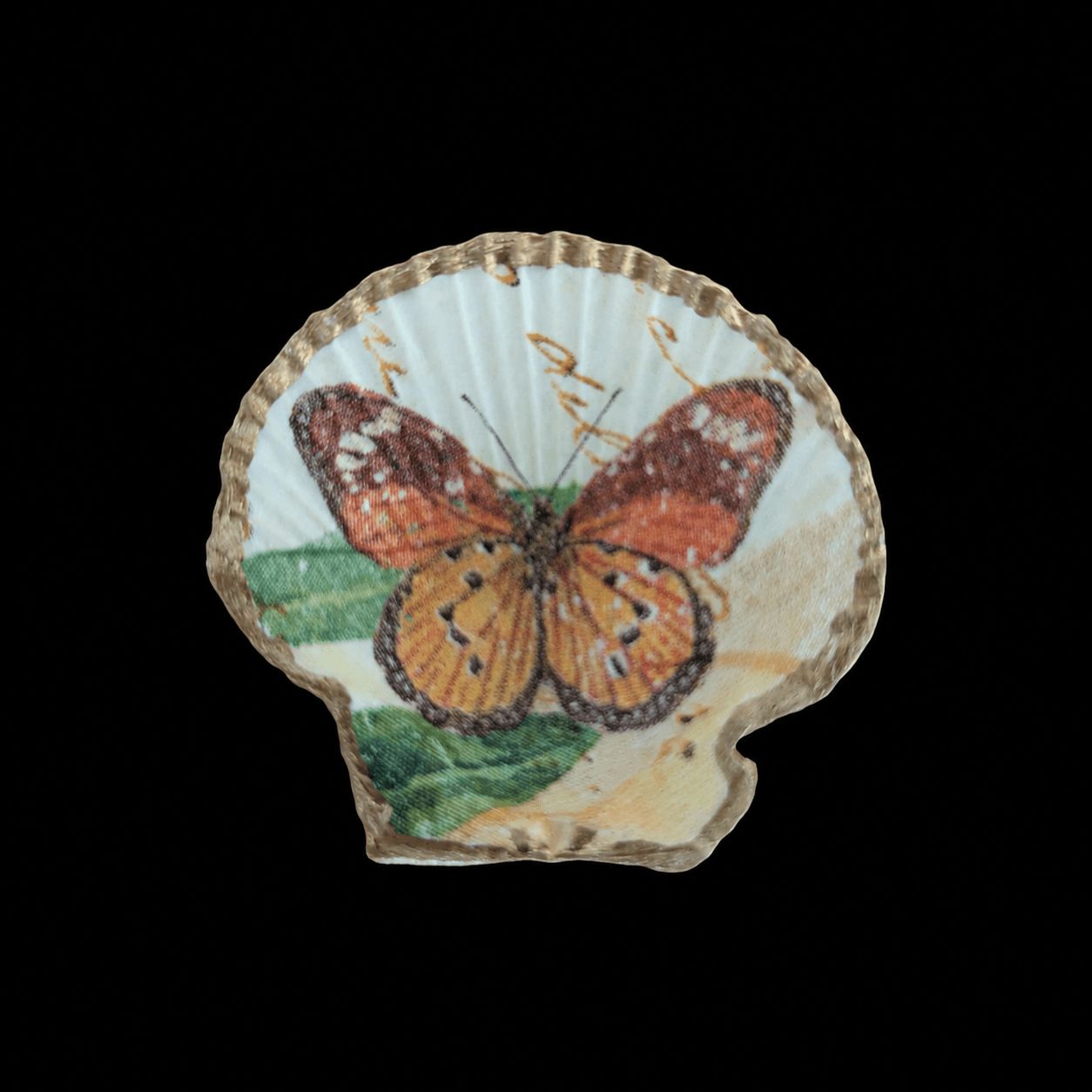 Kammmuschel Butterfly - 4er Set - Andrea Rubinetto Schmuckwerkstatt