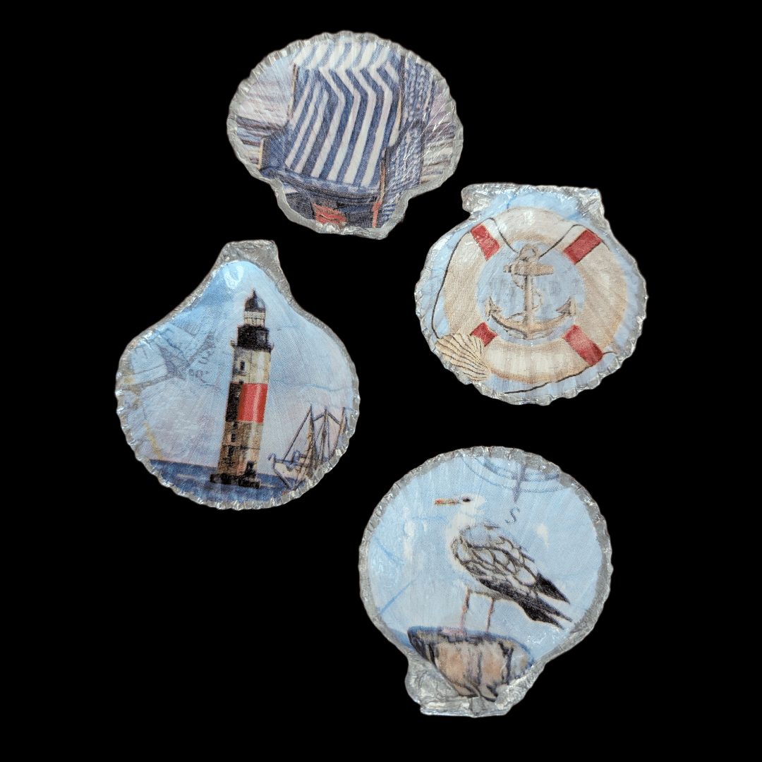 Kammmuschel Ostsee - 4er Set - Andrea Rubinetto Schmuckwerkstatt