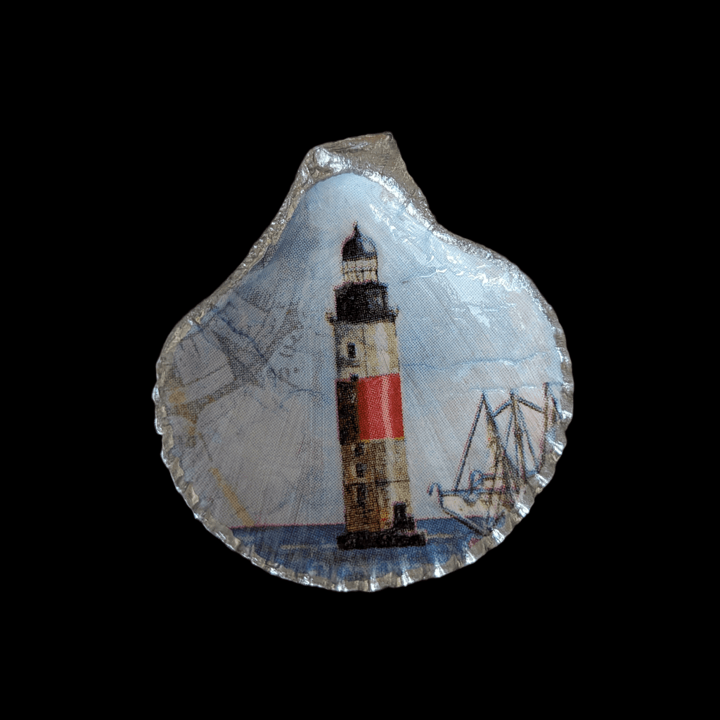 Kammmuschel Ostsee - 4er Set - Andrea Rubinetto Schmuckwerkstatt